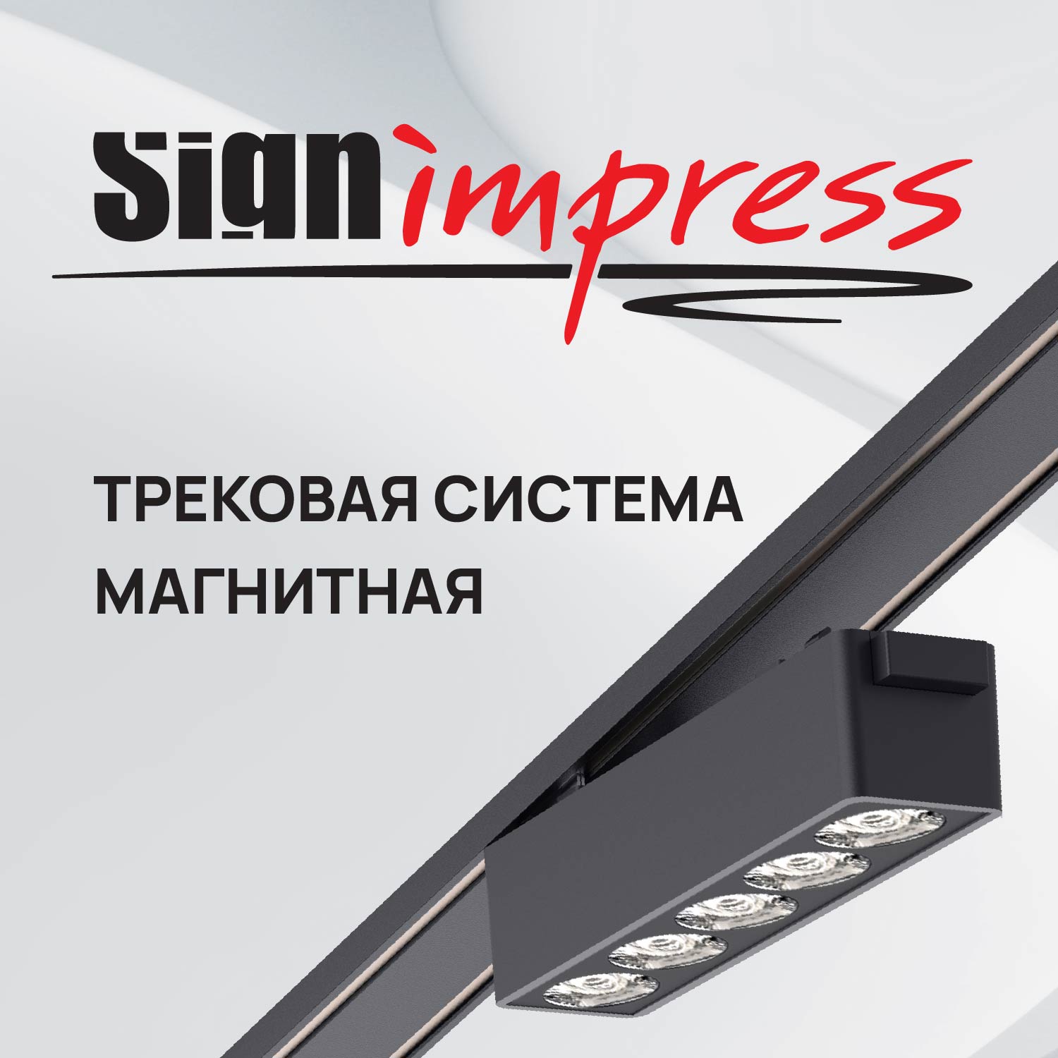 Трековые магнитные системы